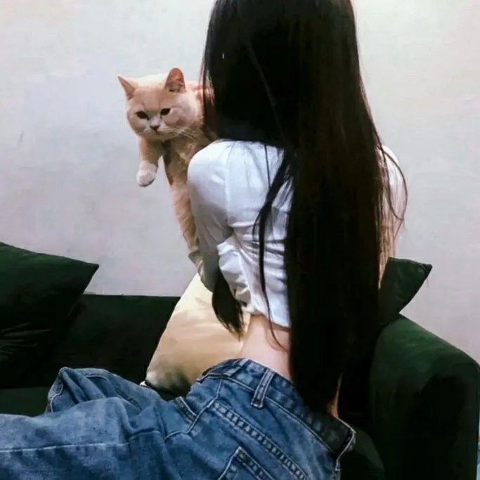 迈阿密风云