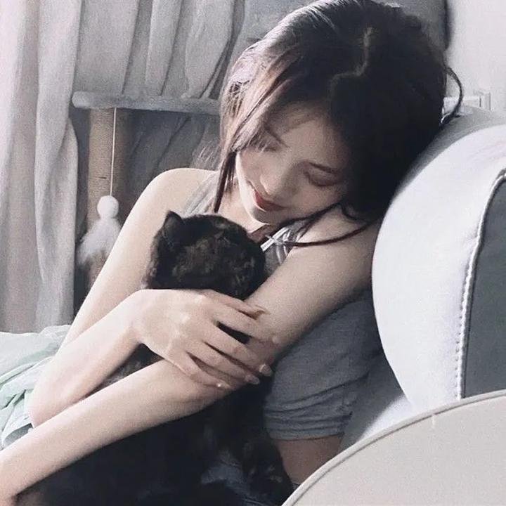 飞起来吧蝴蝶